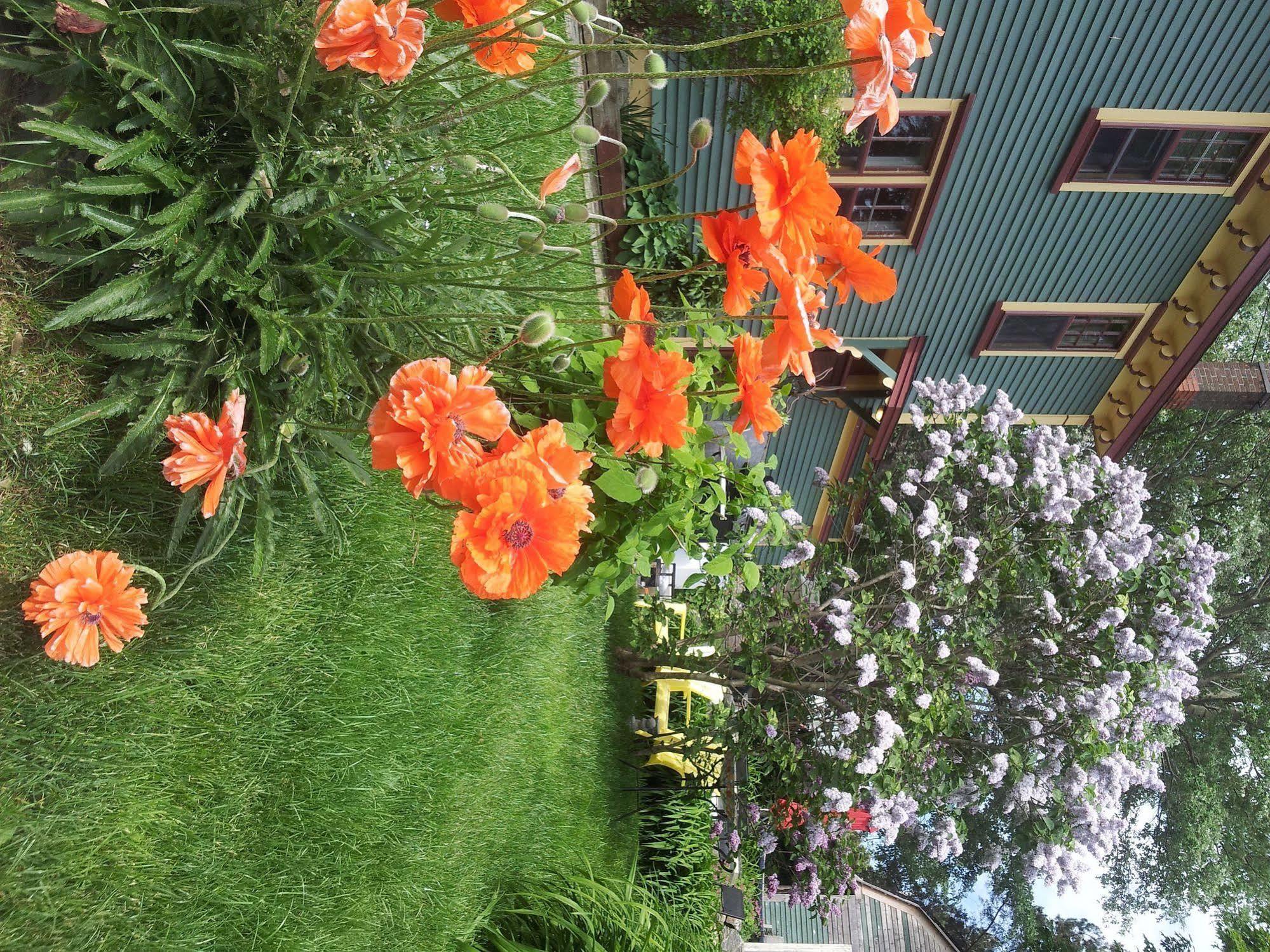 The Spaniards Room Heritage Home Spaniards Bay Экстерьер фото